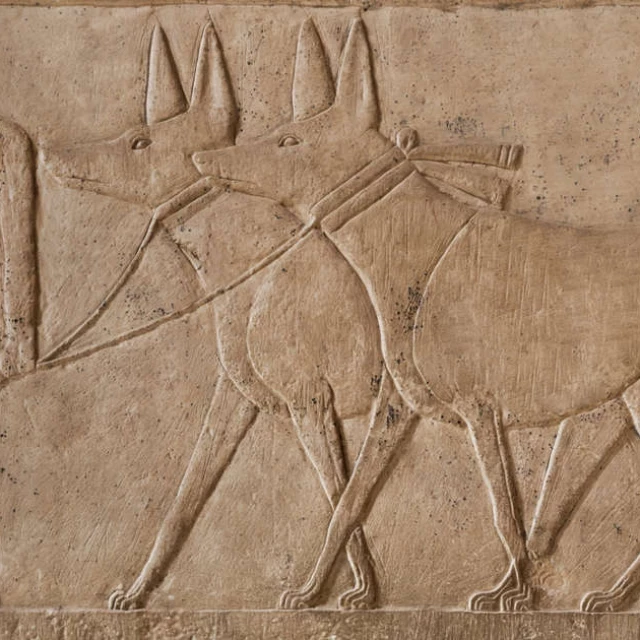 Perros, gatos, monos, gacelas... Las mascotas más apreciadas por los antiguos egipcios