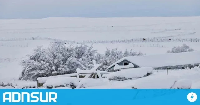 El drama de un gaucho aislado hace un mes por la nieve: lo asistieron por helicóptero y no quiere abandonar a sus 12 perros