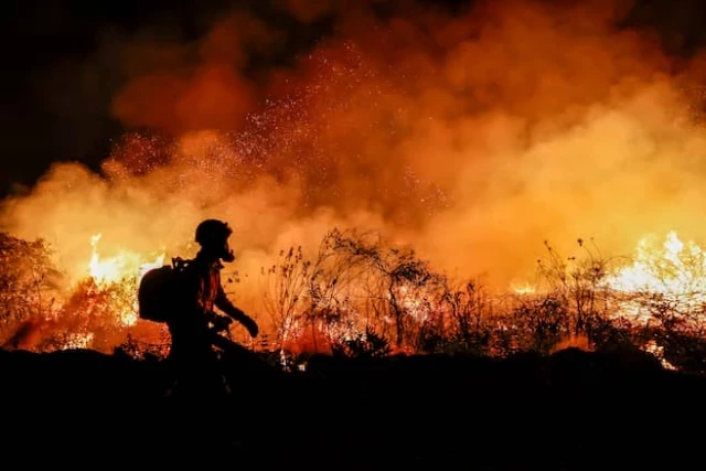 Incendios en Amazonía brasileña durante primer semestre son los peores en 20 años
