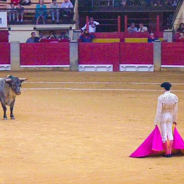Los toros volverán a emitirse en la televisión pública aragonesa diez años después