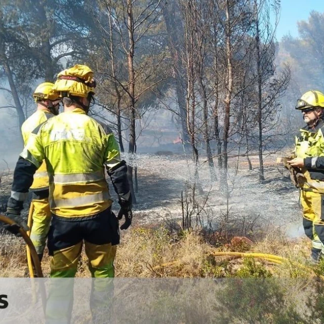 Vox vota no y el PP se abstiene a habilitar una unidad de bomberos forestales en Sagunt