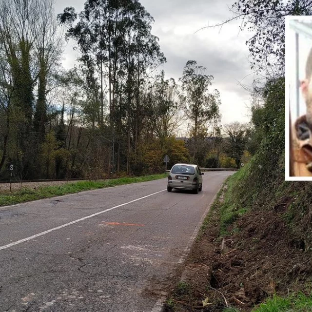Murió tras estrellarse contra un árbol caído en Candamo y ahora el Principado debe indemnizar a su familia: unas imágenes de Google Maps, claves en la sentencia