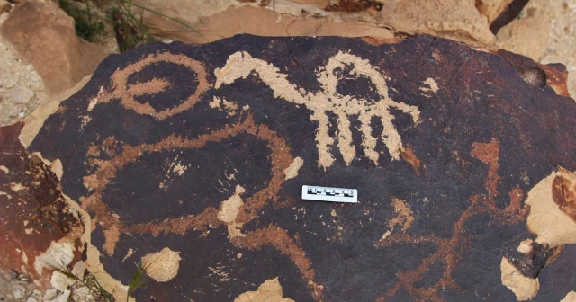 Hongos y líquenes amenazan unos grabados rupestres de 5.000 años en Israel