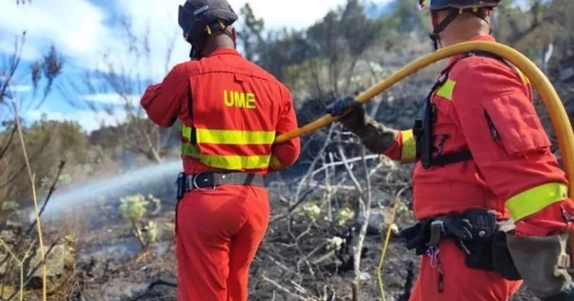 Diez mil incendios al año en España: el 95% los produce el ser humano y más de la mitad son intencionados
