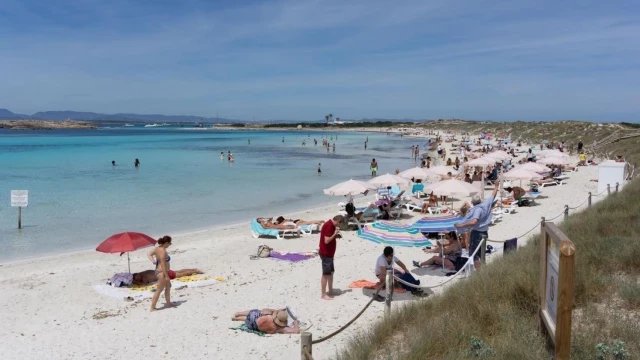 Adiós a la arena de las playas, a refrescarse en el agua… y a la posidonia: así está cambiando el mar Mediterráneo