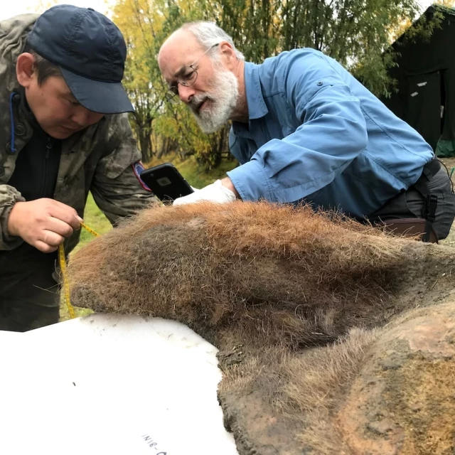 Una técnica revolucionaria rescata el ADN intacto de un mamut y acerca la resurrección de criaturas extinguidas