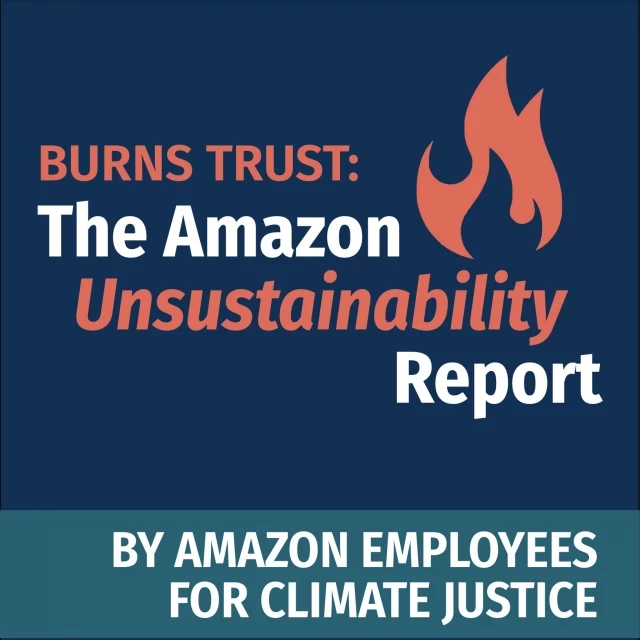El greenwashing de Amazon: cuando tus propios empleados te sacan los colores