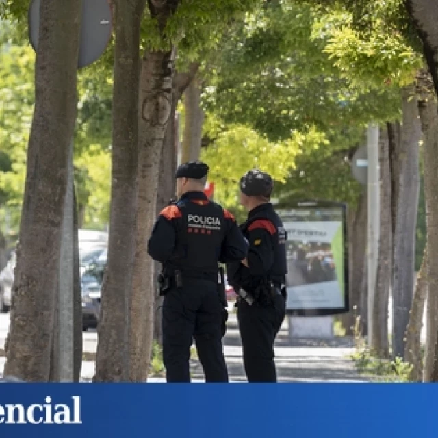 La veterinaria 'fake' que aterraba a la Selva de Girona: "Operaba perros en el capó del coche"