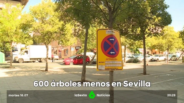 Ecologistas denuncian la tala de 600 árboles por las obras de una nueva línea de metro de Sevilla