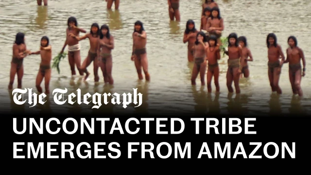 Tribu no contactada afectada por la tala emerge de la Amazonia (eng)