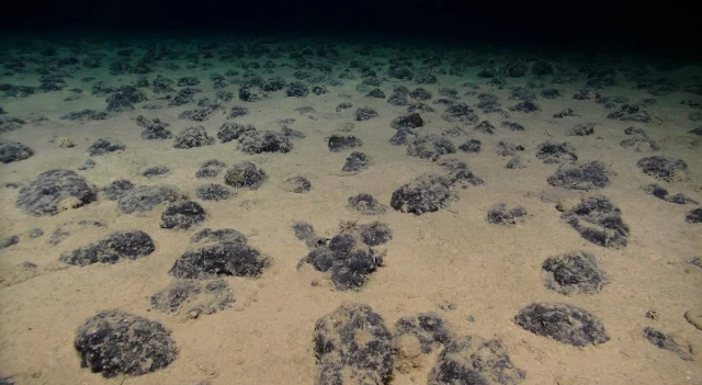 Descubren “oxígeno oscuro” generado en las profundidades marinas