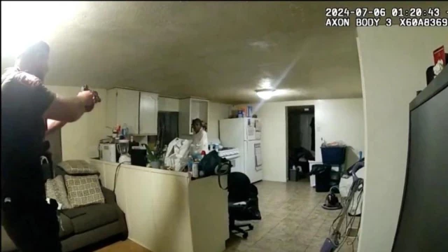 Un policía de Illinois mata en su casa a una mujer negra que había llamado pidiendo ayuda(incluye vídeo no muy agradable)