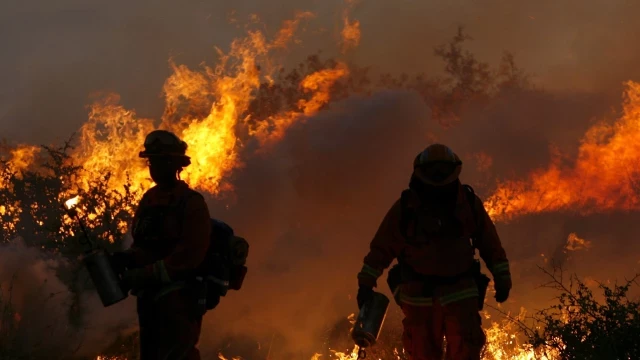 Los incendios forestales disparan las hospitalizaciones por trastornos mentales