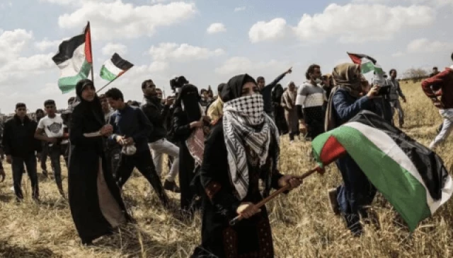 Ante las incesantes atrocidades israelíes en Gaza. Dossier