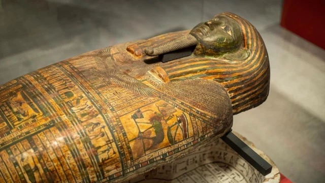 Egipto anuncia el descubrimiento de más de 60 tumbas faraónicas en el delta del Nilo