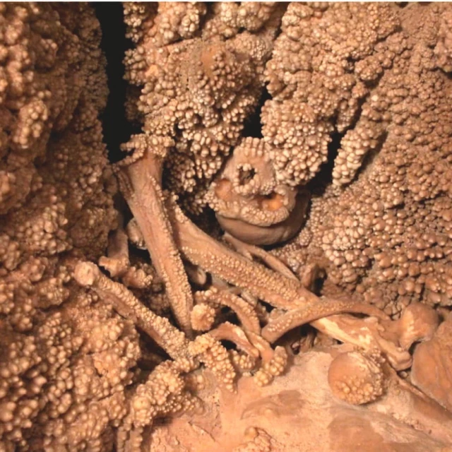 El Hombre de Altamura, el fósil de neandertal mejor conservado, es tan antiguo que se encontró incrustado entre estalactitas y estalagmitas