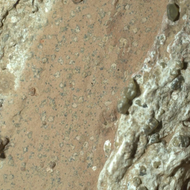 Por qué la NASA cree tener la prueba definitiva de la vida en Marte