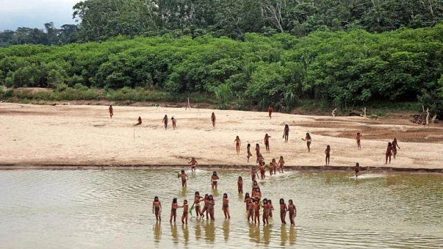 La explotación forestal de la Amazonia amenaza la supervivencia de los indígenas en Perú