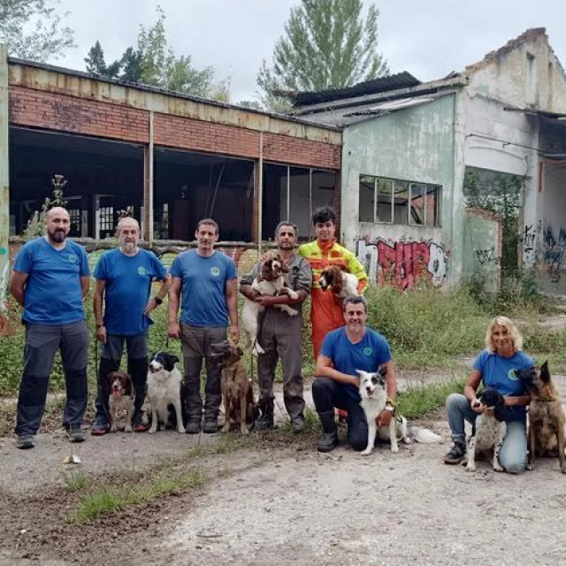 Héroes de cuatro patas: "Son ágiles, fuertes, valientes, inteligentes y con buena disposición"