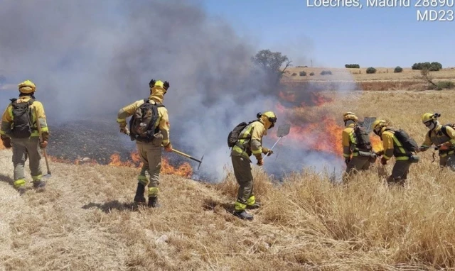 Un importante incendio arrasa una zona de pastos de Loeches (Madrid)