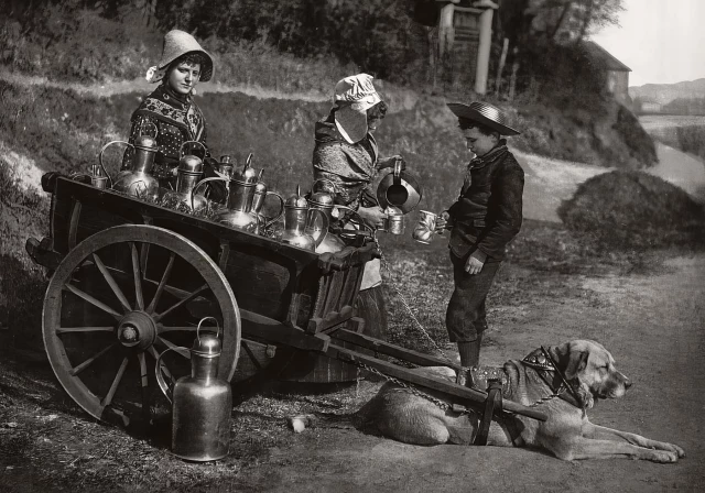Cuando el reparto de leche se hacía con carros tirados por perros: Fotos antiguas de principios del siglo XX (ENG)