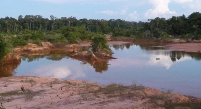 Miles de especies amenazadas por la minería para la energía limpia