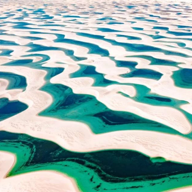 La fabulosa biodiversidad de Lençóis Maranhenses, el desierto inundado que ya es Patrimonio de la Humanidad