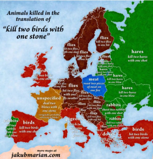 Matar dos pájaros de un tiro en las lenguas europeas (2017)