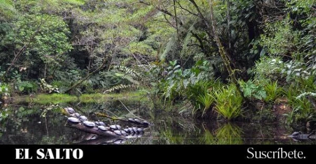 La ruta de la extinción: Un relato sobre el tráfico de fauna silvestre en Ecuador