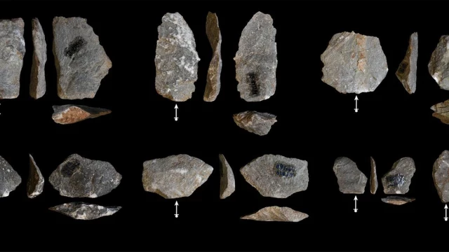 Las herramientas de piedra de los primeros humanos y simios son casi idénticas
