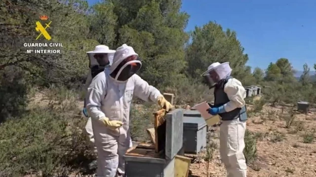 Investigan a 11 personas por comercializar más de 40 toneladas de miel contaminada de China