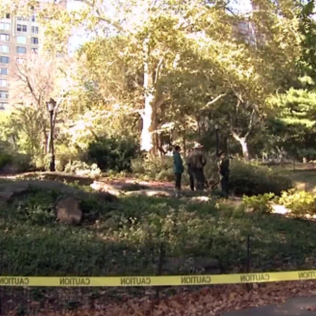 Robert F. Kennedy  Jr. admite haber puesto un osezno muerto y una bicicleta vieja en Central Park de Nueva York hace casi 10 años (Eng)