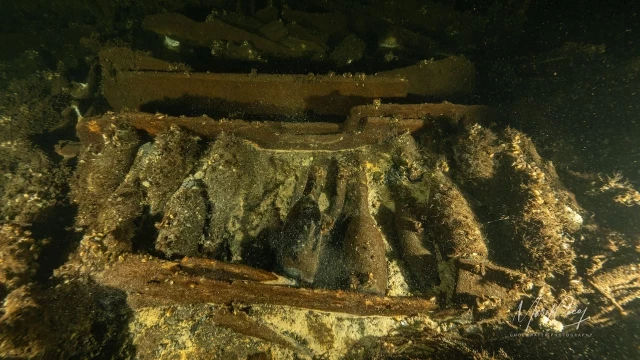 Arqueólogos descubren más de 100 botellas de champán, vino y agua mineral intactas en un barco del siglo XIX hundido en Suecia