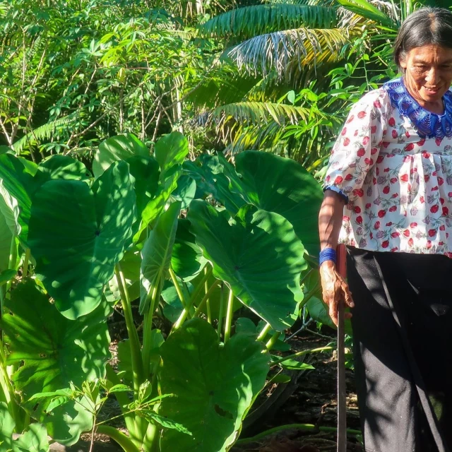 Pueblos Indígenas: claves para salvar al mundo de la crisis climática, pero escasamente escuchados