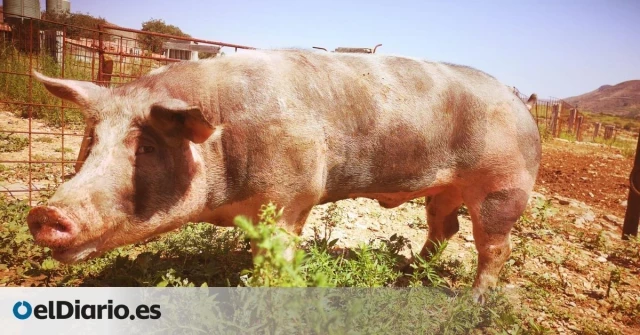 En busca de agua subterránea ante la sequía que azota los pueblos de Aragón: "La situación es insostenible"