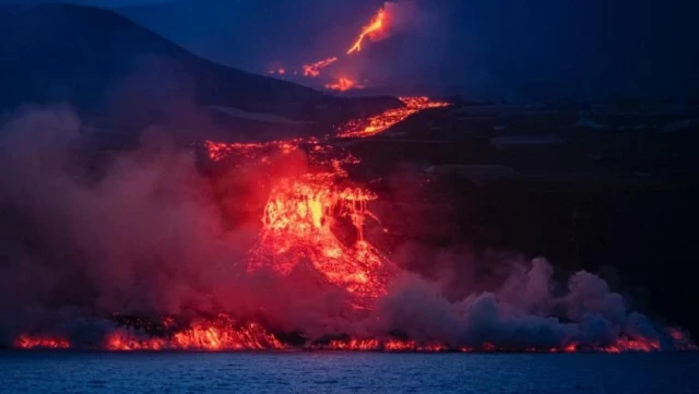 Vulcana constata cómo la vida marina resurge frente al delta lávico de La Palma