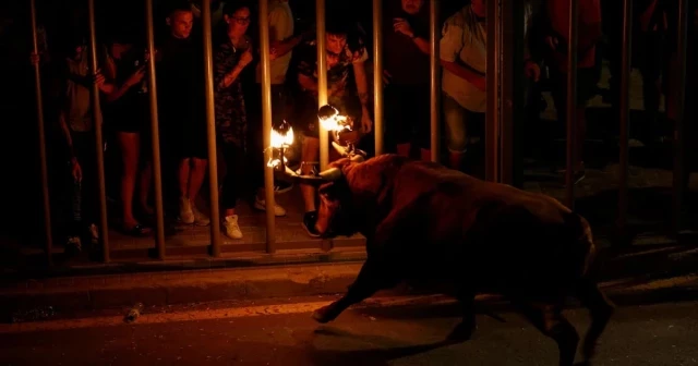 Tajantes con las pantallas pero permisivos con la tauromaquia: “A los niños se les acostumbra a la violencia taurina antes de que sepan hablar”