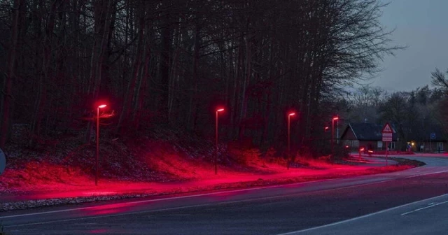 Este es el motivo por el que muchas ciudades están optando por poner luces rojas en sus farolas