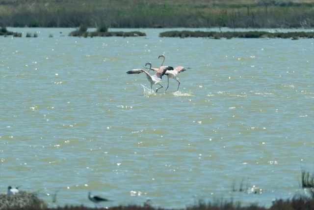 Cada vez llueve menos y diferente en Andalucía: las borrascas se frenan en el eje del Guadalquivir y llegan menos al oriente