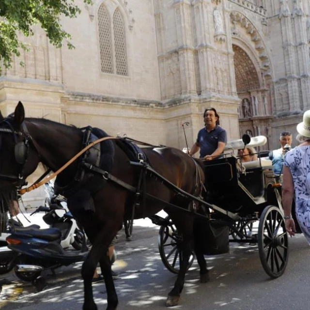 Manifestación contra la «explotación» de los caballos de calesas