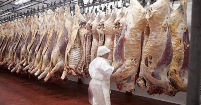 Frigoríficos Argentinos en alerta por caída del consumo de carne y pérdida de competitividad para exportar