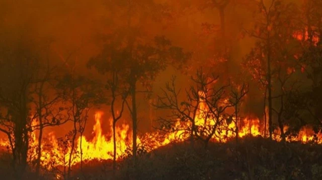 El cambio climático exacerbó el riesgo de incendios en 2023