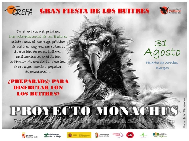 31 de agosto: ¡Ven a la Sierra de la Demanda y participa en nuestra Fiesta de los Buitres!