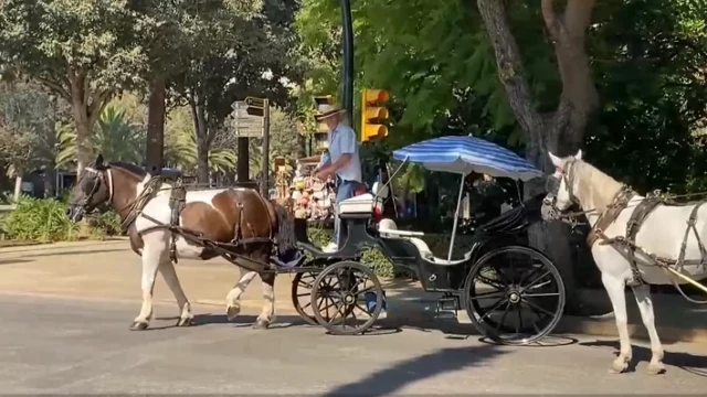 Los coches de caballos tienen los días contados en Málaga: el Ayuntamiento negocia su fin