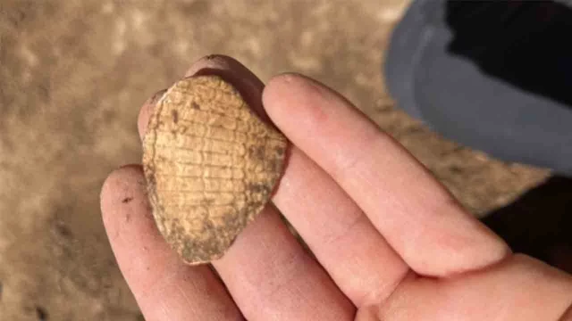 Localizan un yacimiento prehistórico al pie de la montaña de Montjuïc