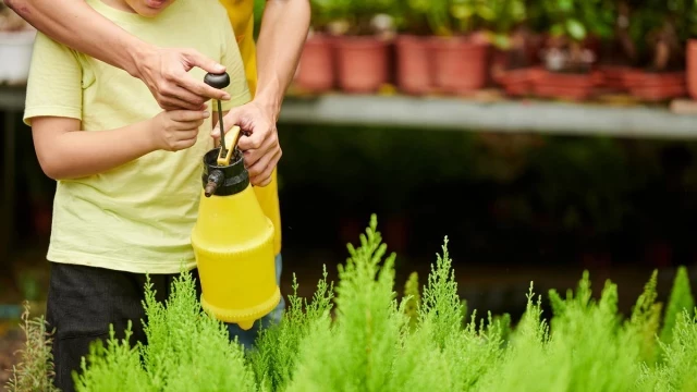 Detectan rastros de un pesticida ilegal en la orina del 60% de niños españoles