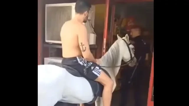 Un hombre entra a comprar a una tienda de Elche a lomos de su caballo y se vuelve viral en redes