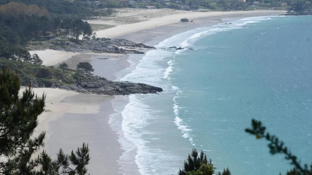 Nudistas piden, con folletos, a los bañistas de la playa de Viñó que se vayan a otro arenal