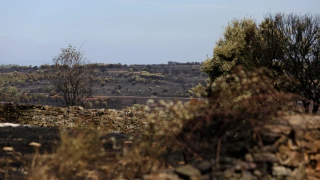 Detenido un peregrino en el Camino de Santiago acusado del incendio en Astorga