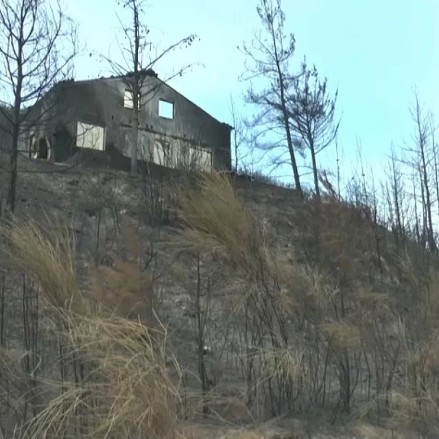 ¿Cómo ha conseguido Portugal reducir el número de incendios en sólo 6 años?